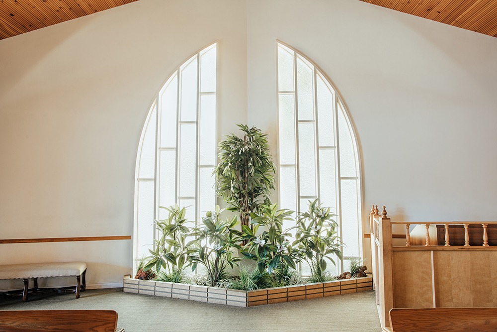 Plant area in chapel